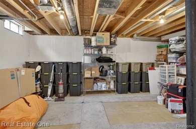 Lake Thompson access, a newly renovated kitchen, light-filled - photo 33