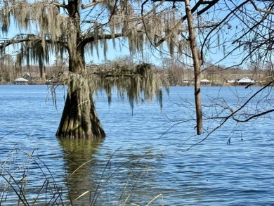 Shaded, gently sloped deep water lot on Lake Bruin - Lake Lot For Sale in Saint Joseph, Louisiana