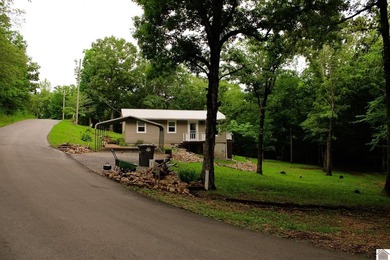Welcome to 619 Lakeshore Drive in the Pine Bluff Shores - photo 3