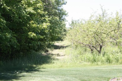 The Venturi a great ranch floor-plan.  Ready to start