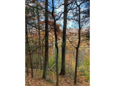 Lake Lot For Sale in Butler, Tennessee