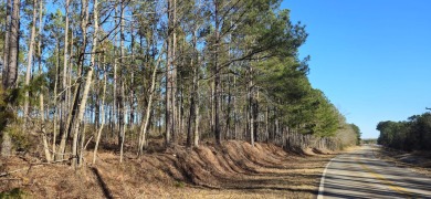 Lake Acreage For Sale in Lincolnton, Georgia