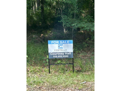 (private lake, pond, creek) Lot For Sale in Wallace North Carolina