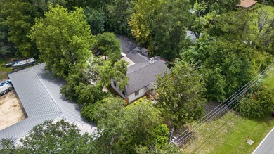 Main Home + Detached Guest House + Two Workshops on Nearly Half - photo 33