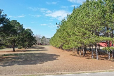 Private location. Nice home that needs some love. Over 47 acres - photo 2