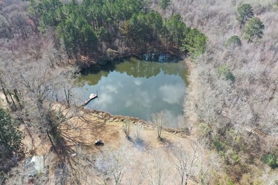 Private location. Nice home that needs some love. Over 47 acres - photo 6