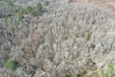 Private location. Nice home that needs some love. Over 47 acres - photo 9