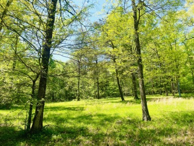 
The wait for finding the perfect lake building lot is over! - Lake Lot For Sale in Falls Of Rough, Kentucky