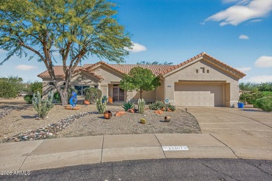Back on the market with beautiful updates! An expanded Chandler - photo 28
