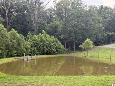 13 Wells Lane, Gilbertsville, Ky. in Running Bear SD is where - photo 8