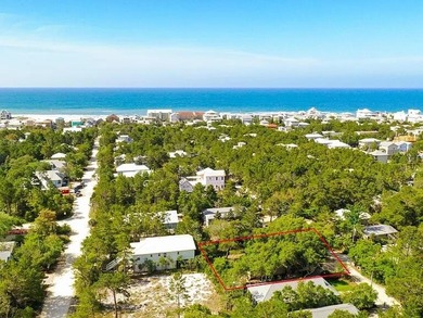 Excellent opportunity to own a lot south of 30A to build your - photo 13