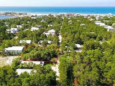 Excellent opportunity to own a lot south of 30A to build your - photo 14