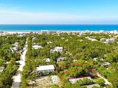 Excellent opportunity to own a lot south of 30A to build your - photo 16