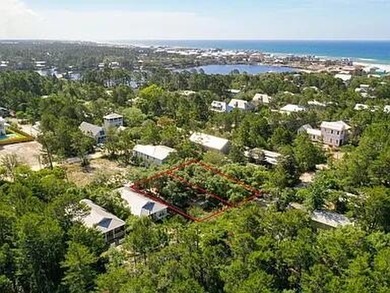 Excellent opportunity to own a lot south of 30A to build your - photo 17