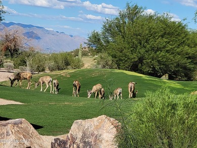 Stunning property! The home was priorly remodeled by renowned