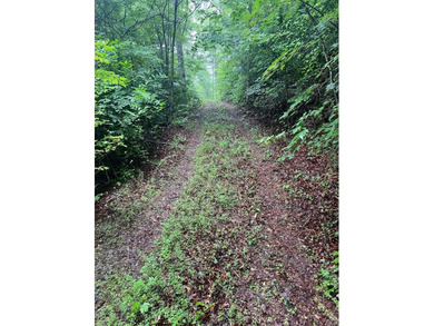 Lake Emory Lot For Sale in Franklin North Carolina