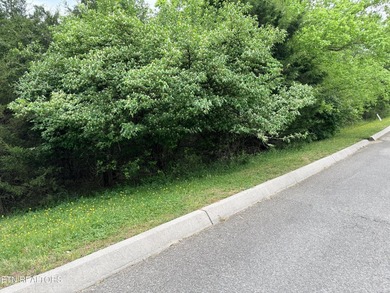 Located in the Woodlake Golf Community, this 0.49-acre wooded - photo 1