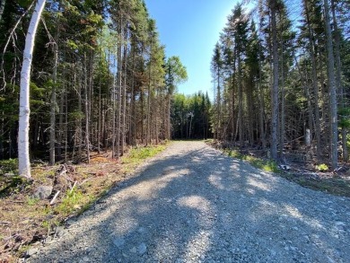 Lake Acreage Off Market in Dallas Plt, Maine