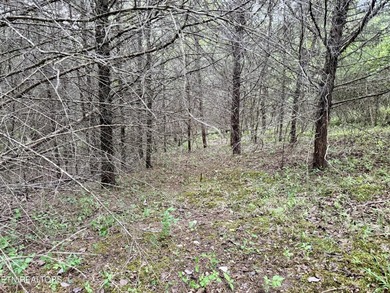 Located in the Woodlake Golf Community, this 0.49-acre wooded - photo 2