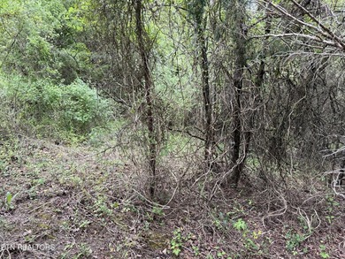 Located in the Woodlake Golf Community, this 0.49-acre wooded - photo 4