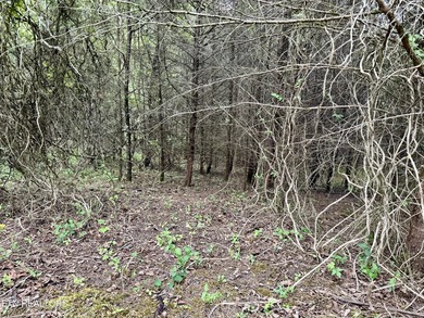 Located in the Woodlake Golf Community, this 0.49-acre wooded - photo 5