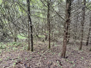 Located in the Woodlake Golf Community, this 0.49-acre wooded - photo 7