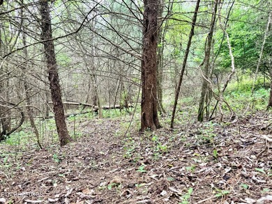 Located in the Woodlake Golf Community, this 0.49-acre wooded - photo 9