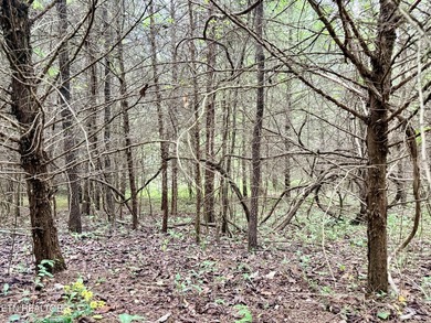 Located in the Woodlake Golf Community, this 0.49-acre wooded - photo 10