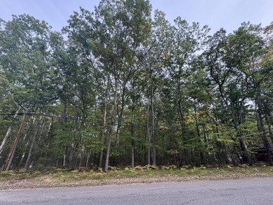 Higgins Lake Lot Active Under Contract in Roscommon Michigan