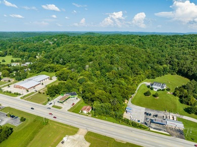 Chickamauga Lake Acreage For Sale in Sale Creek Tennessee