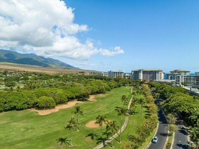 Welcome to Kaanapali Alii 1-201, located in West Maui's most - photo 48
