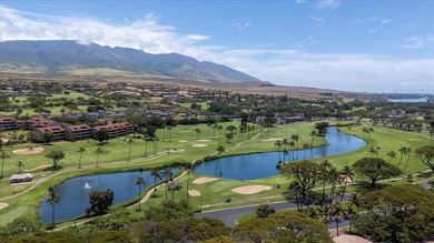 Welcome to Kaanapali Alii 1-201, located in West Maui's most - photo 49