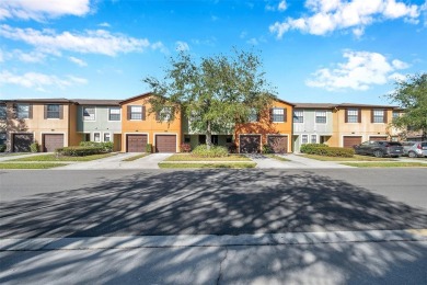 Lake Townhome/Townhouse Sale Pending in Brandon, Florida