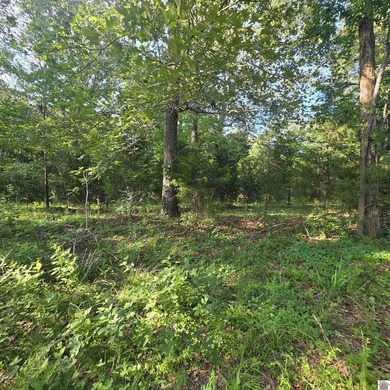 Kentucky Lake Lot For Sale in Benton Kentucky