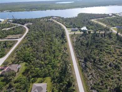 This vacant lot backs up to a greenbelt / preserve giving you - photo 5