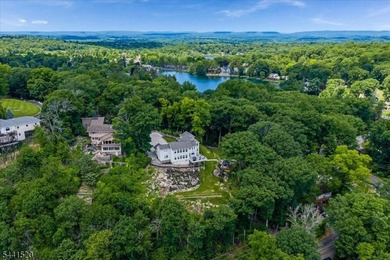 Luxury Lake Living with Spectacular VIEWS! Perched to capture - photo 7