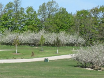 Lake Micigan - Door County Lot For Sale in Egg Harbor Wisconsin