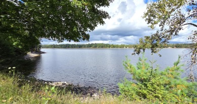 Lake Home For Sale in Millersburg, Michigan