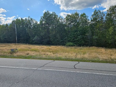 COMMERCIAL LOT WITH GREAT VISIBILITY AND HIGH TRAFFIC COUNT ON - photo 2