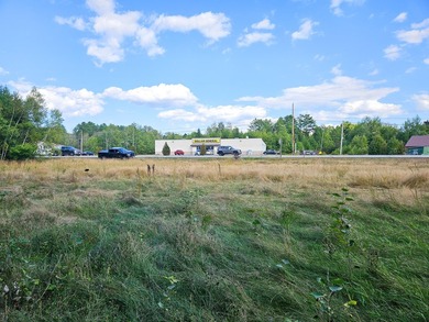 COMMERCIAL LOT WITH GREAT VISIBILITY AND HIGH TRAFFIC COUNT ON - photo 3