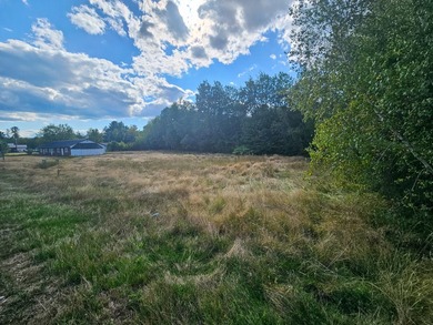 COMMERCIAL LOT WITH GREAT VISIBILITY AND HIGH TRAFFIC COUNT ON - photo 5