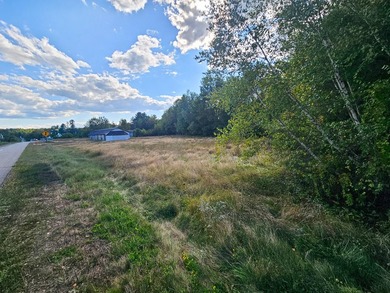 COMMERCIAL LOT WITH GREAT VISIBILITY AND HIGH TRAFFIC COUNT ON - photo 6