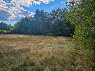 COMMERCIAL LOT WITH GREAT VISIBILITY AND HIGH TRAFFIC COUNT ON - photo 7