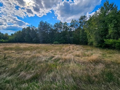 COMMERCIAL LOT WITH GREAT VISIBILITY AND HIGH TRAFFIC COUNT ON - photo 8