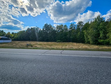 COMMERCIAL LOT WITH GREAT VISIBILITY AND HIGH TRAFFIC COUNT ON - photo 9
