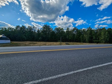 COMMERCIAL LOT WITH GREAT VISIBILITY AND HIGH TRAFFIC COUNT ON - photo 10