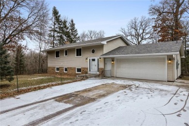 Lake Home For Sale in Oak Grove, Minnesota