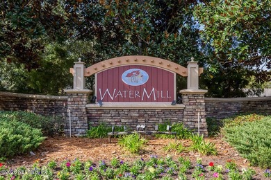IMMACULATE! Just a walk/bike ride to Oakleaf Towncenter shops - photo 30