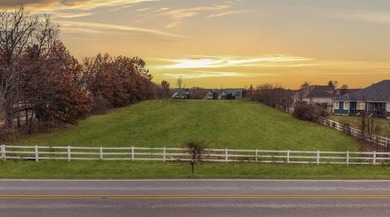 Building your dream home on two STUNNING ACRES of land may not - photo 3