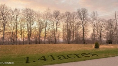 Welcome to Deerfield Resort--one of Norris Lake's most - photo 3